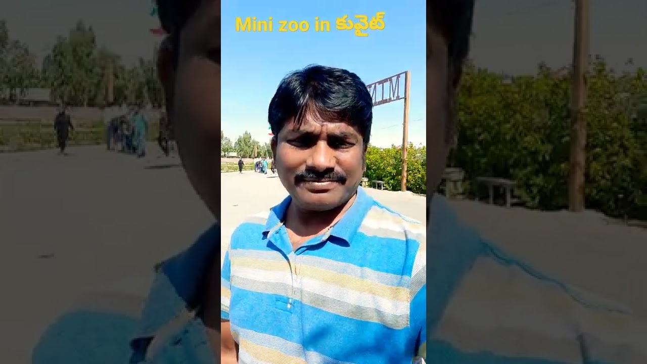 mini zoo in kuwait