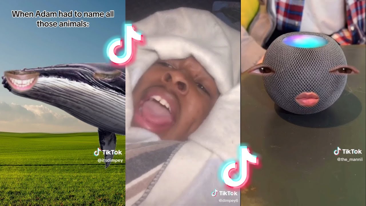 Best POV Compilation (Dimpey6 & The_mannii & Caleb Meyerhoeffer & others) #38