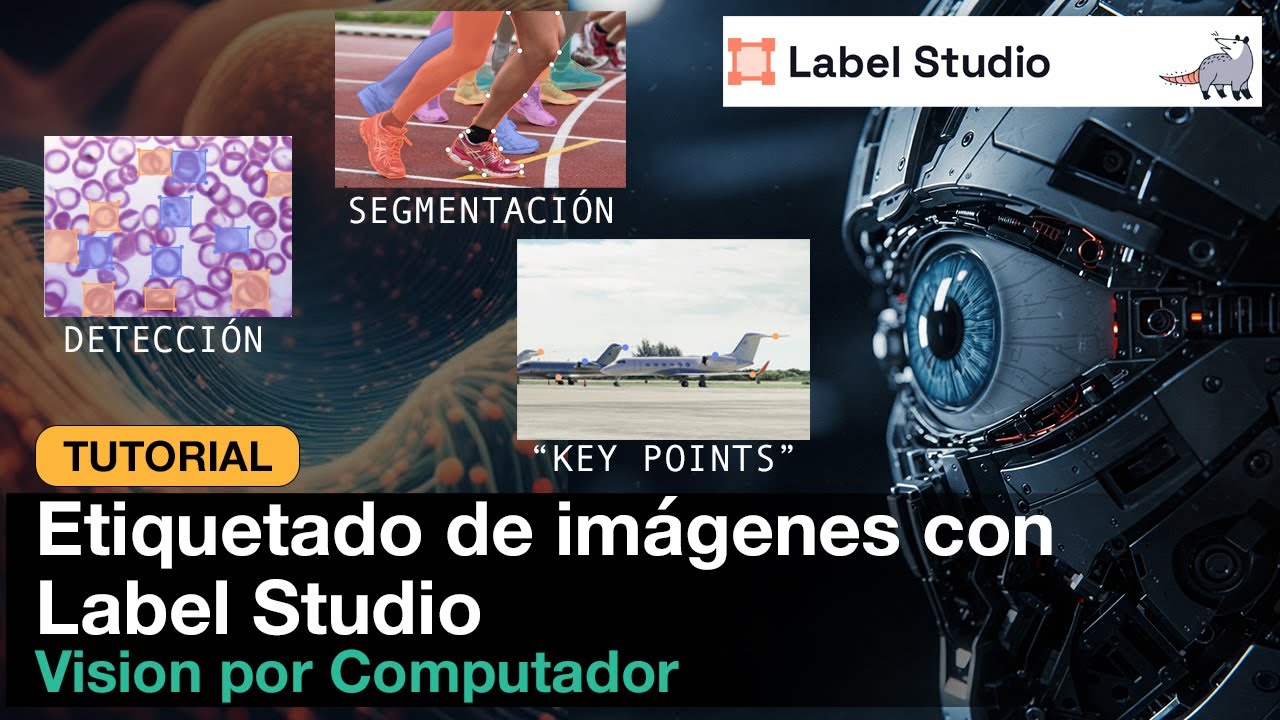 Tutorial: etiquetado de imágenes con LABEL STUDIO