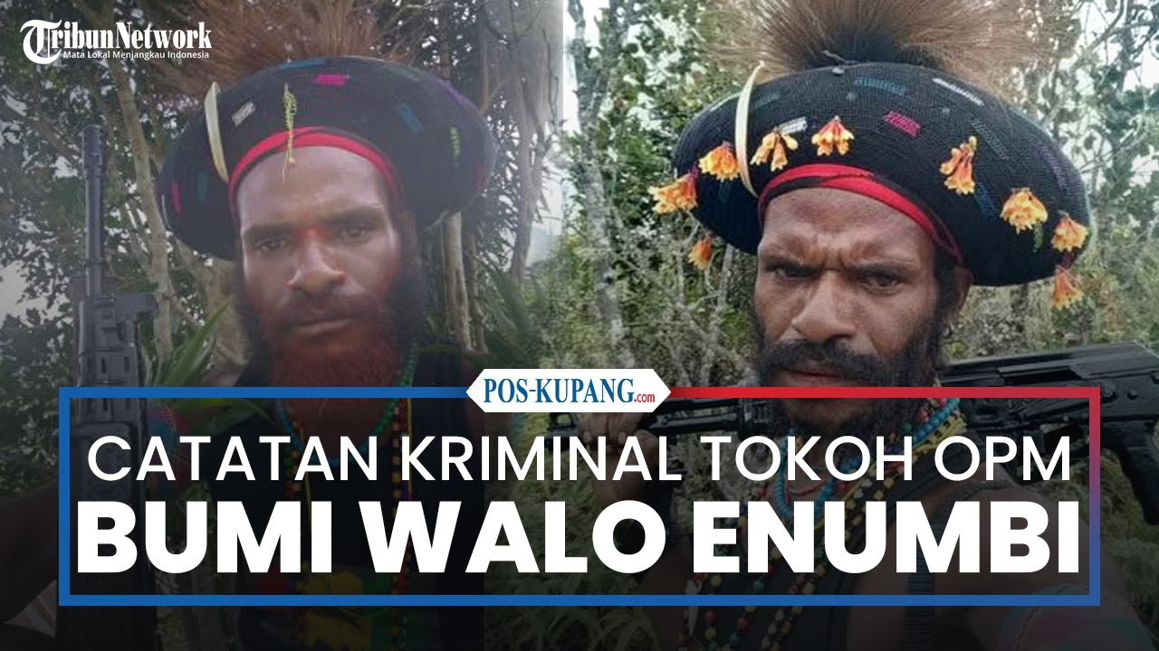 Catatan Kriminal Bumi Walo Enumbi Tokoh OPM yang Dilumpuhkan TNI di Puncak Jaya