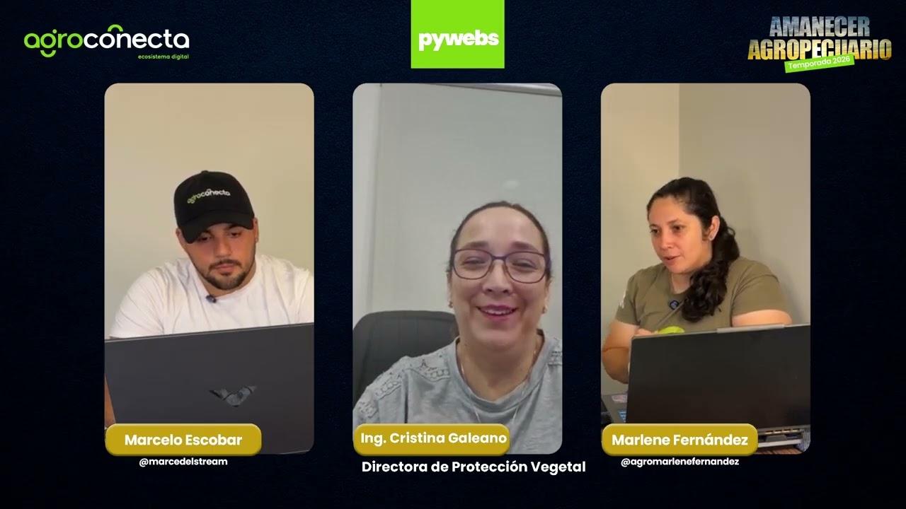 13-02-26 Programa Completo