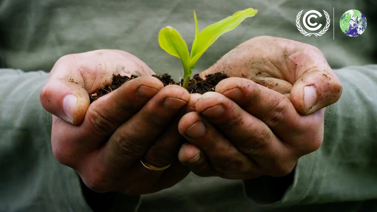 COP26: Racing to a better world