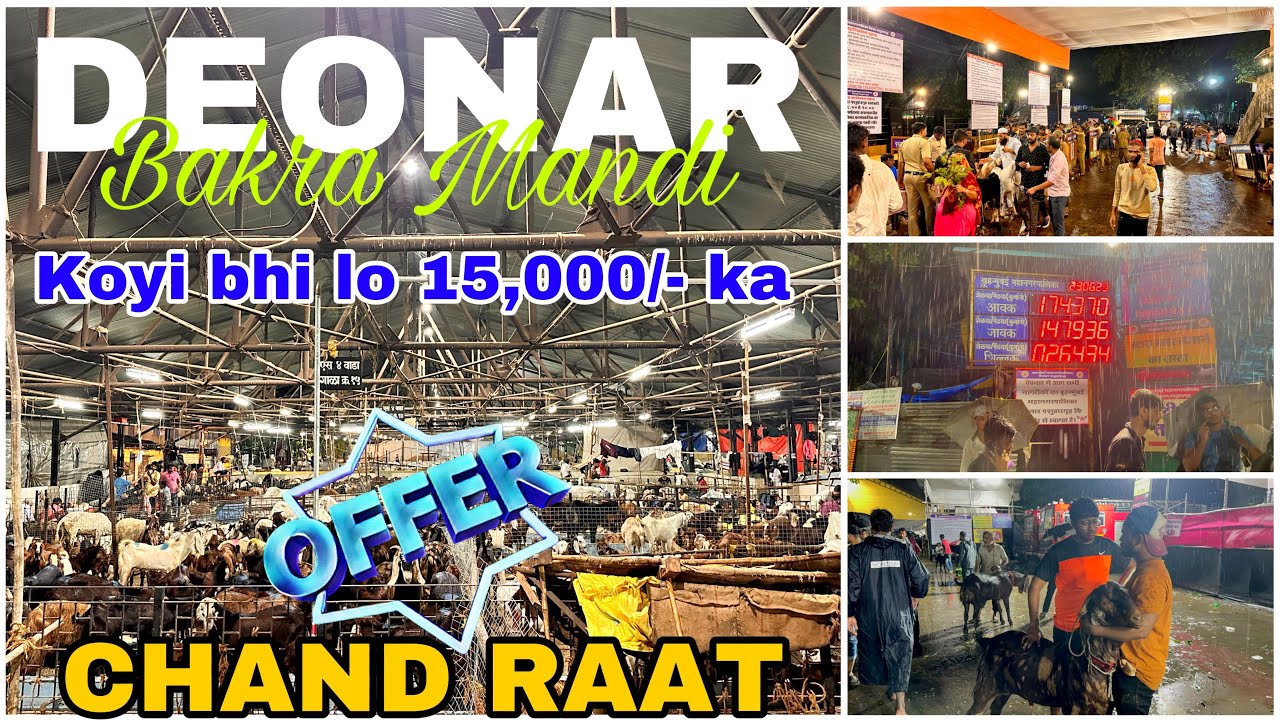 Deonar bakra mandi chand raat update 2023