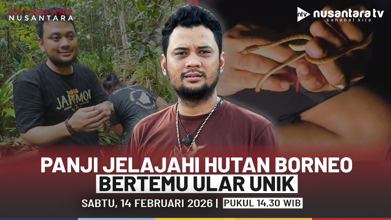 [LIVE] Panji Bermalam di Hutan Rimba Bornero, Bertemu Ular Unik | PETUALANG NUSANTARA