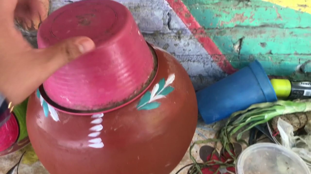 PATRON NETO (se sospecha que tilico le echo un pescado al cantaro)