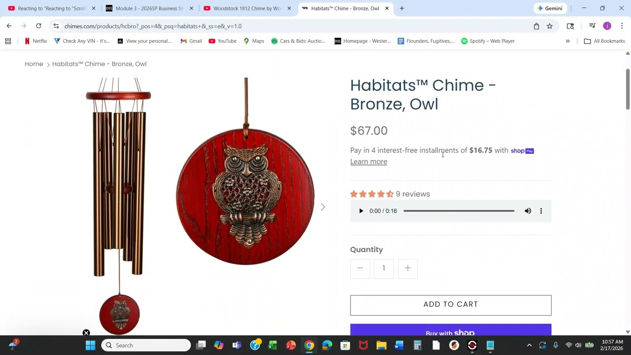 A Huge Problem with Woodstock Chimes in my Opinion