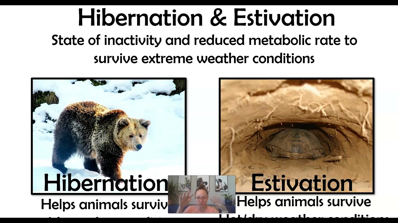 AP Bio Topic 8.1 Behavioral & Physiological Responses to the Environment (Part 1)