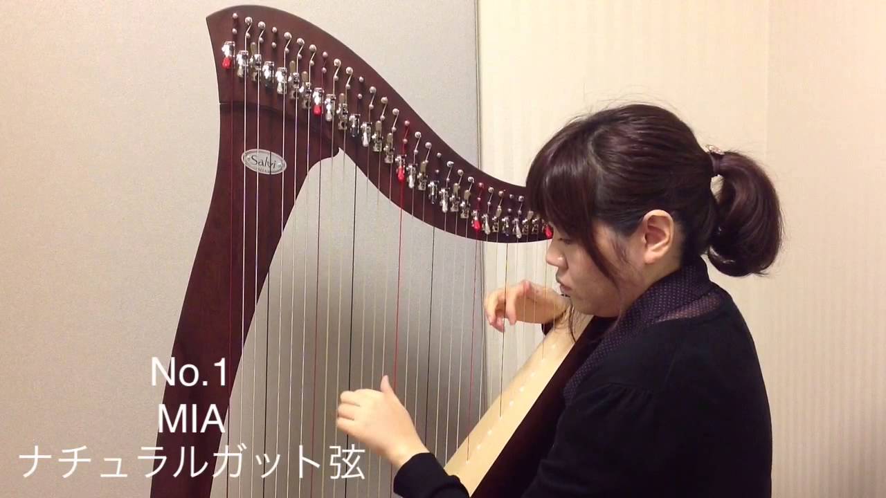 Salvi Harps MIA ガット弦 V.S.シルクガット弦