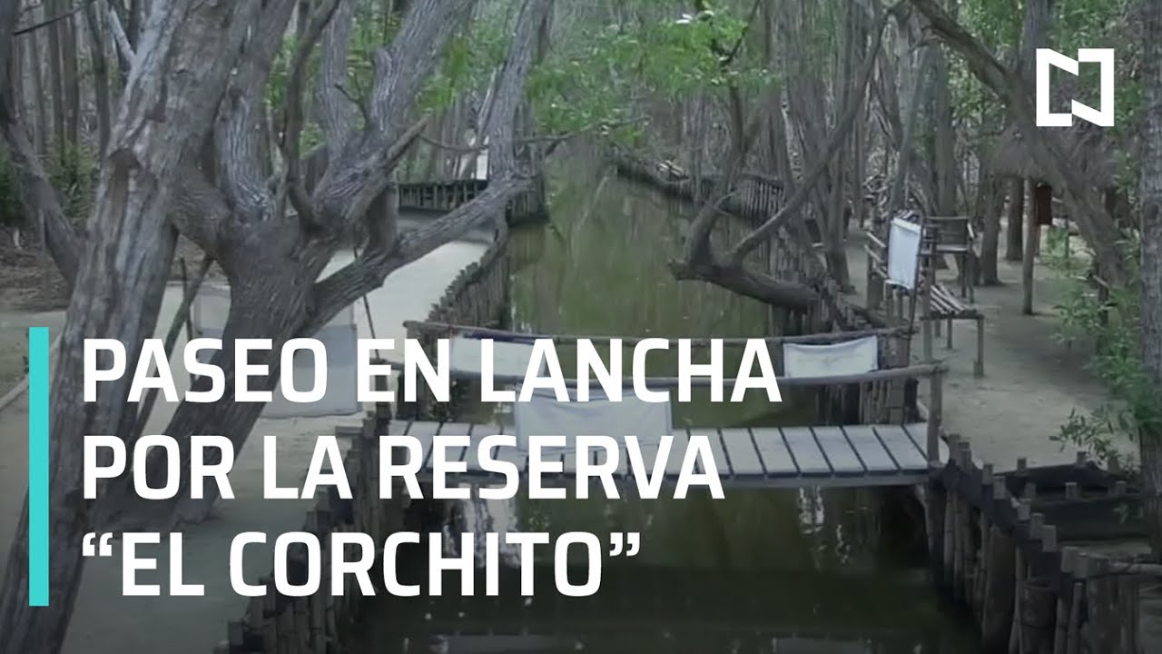 Parque ecol&oacute;gico El Corchito, Yucat&aacute;n - Expreso de la Ma&ntilde;ana