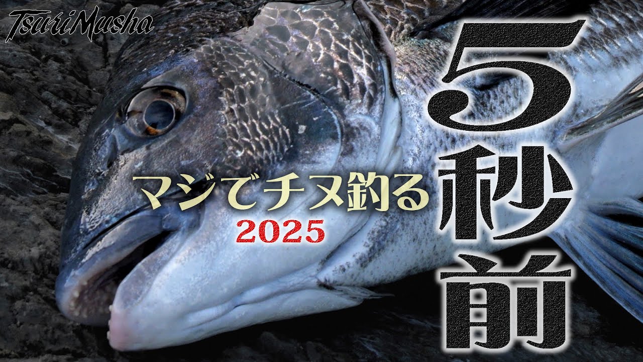 【マジでチヌ釣る5秒前】 2025年度版！ 愛媛県下灘湾 にてチヌを狙う！