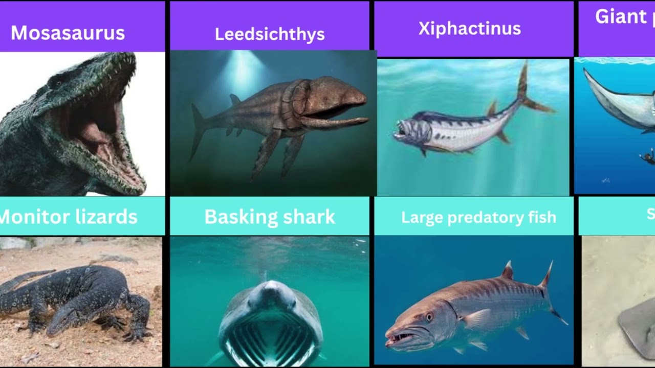 Extinct Giants That Became Small Modern Animals