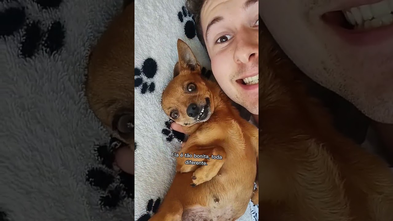Lola &eacute; t&atilde;o bonita...
