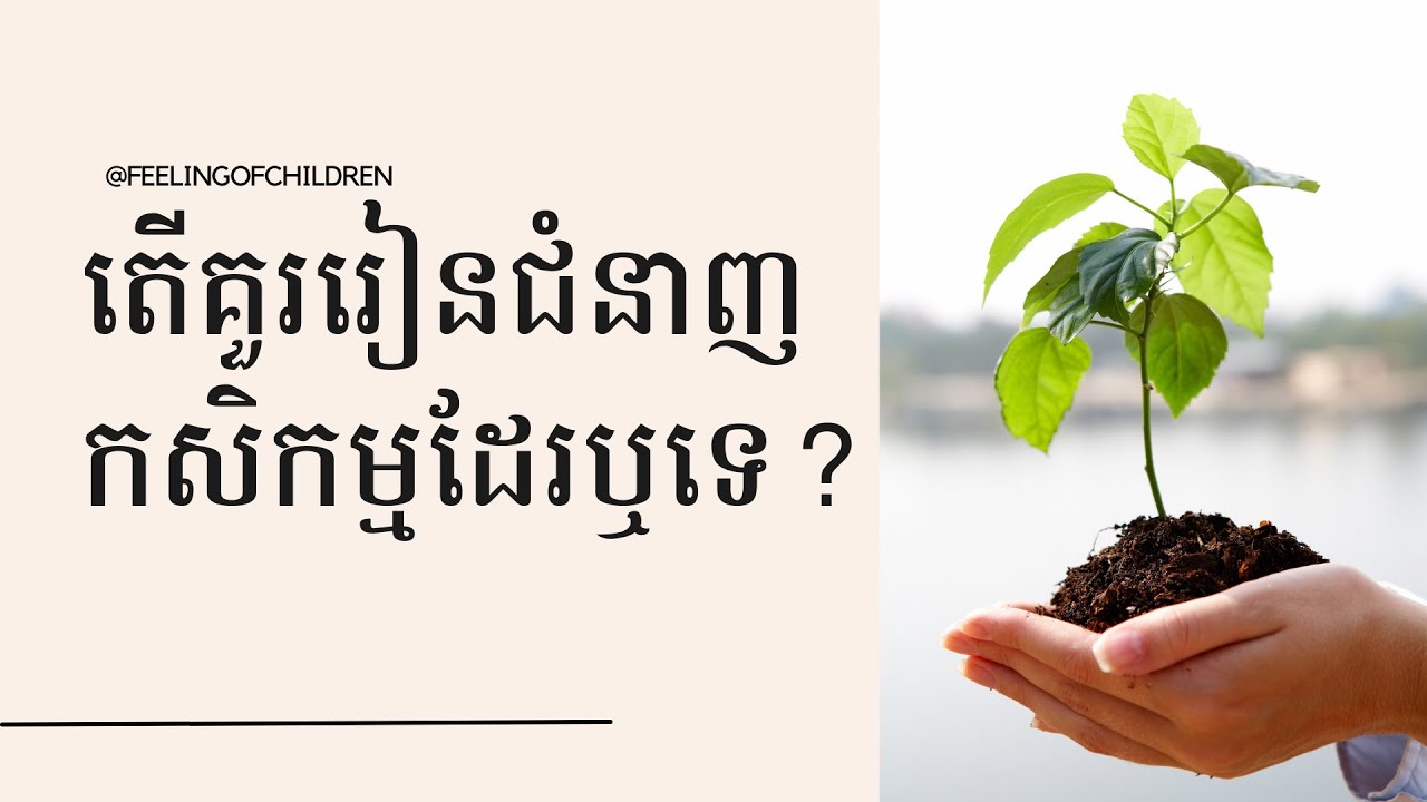 ជំនាញបរិញ្ញាបត្រកសិកម្ម | bachelor degree of agriculture in Cambodia