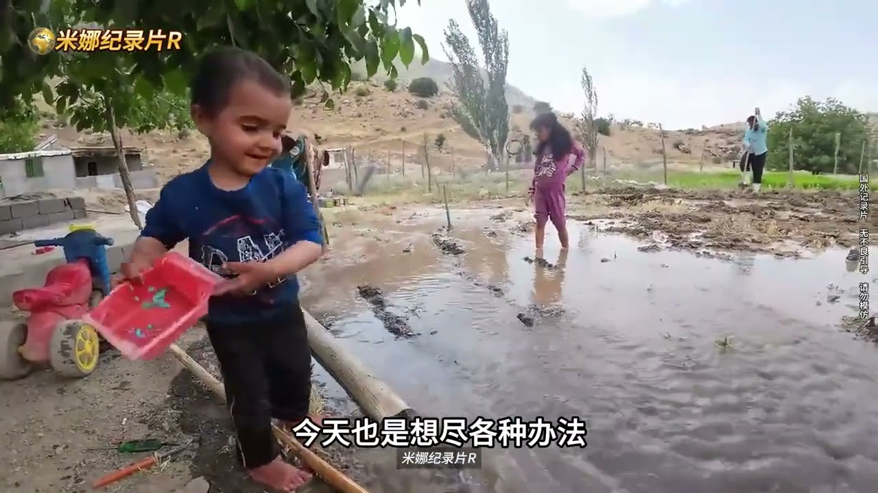 大面积种植绿豆！伊朗女人米娜698集，多开垦一块稻田（下）