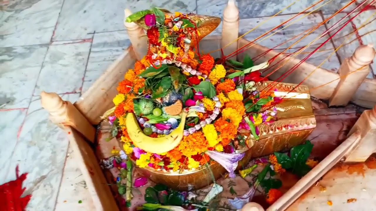 24 फरवरी मंगलवार फाल्गुन सप्तमी के दिन हल्दी और गुड़ वाला उपाय जरूर करें ||#panditpradeepmishra#upay