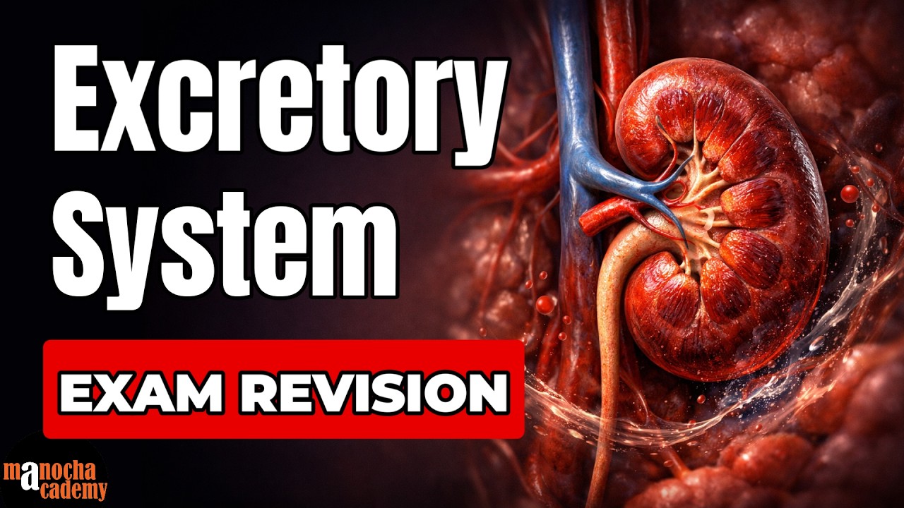 Excretory System Class 10 ICSE