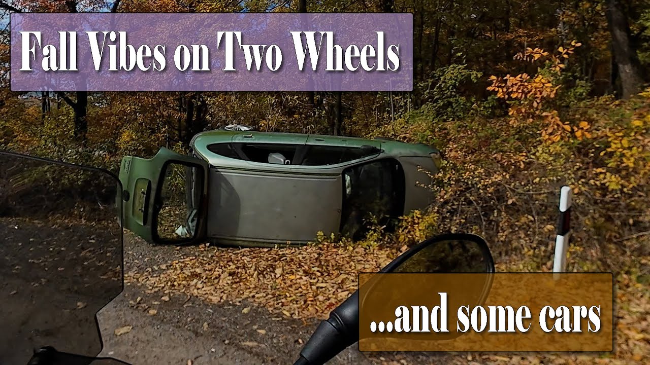Fall Vibes on Two Wheels | Forest Ride in Full Color 🍁