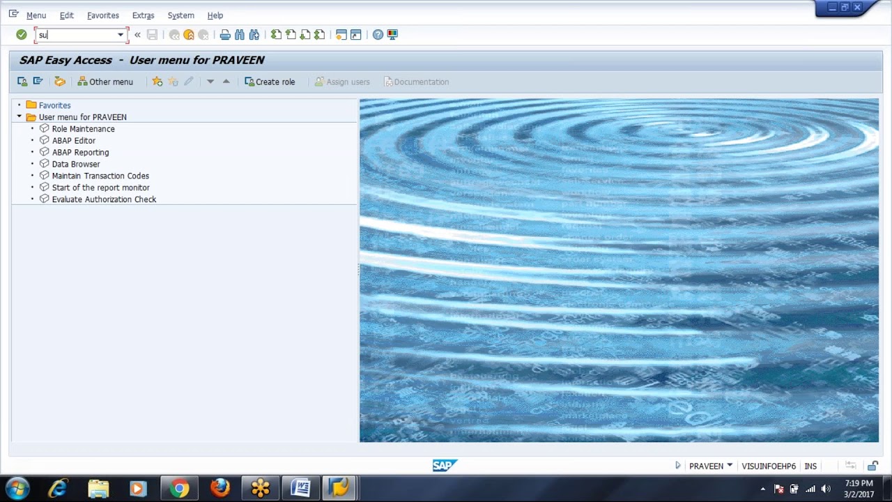 Day 9 - Composite role and Derived Role in SAP