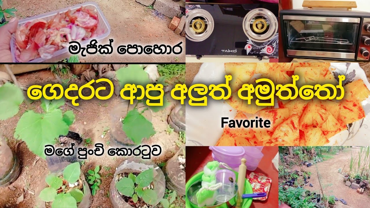 නිදහසේ ගෙවෙන ජීවිතේ තවත් ලස්සන දවසක් 🥰/ cleaning day 🥲/ shopping 💐🥰#chathu#food#gift#viral#garden 