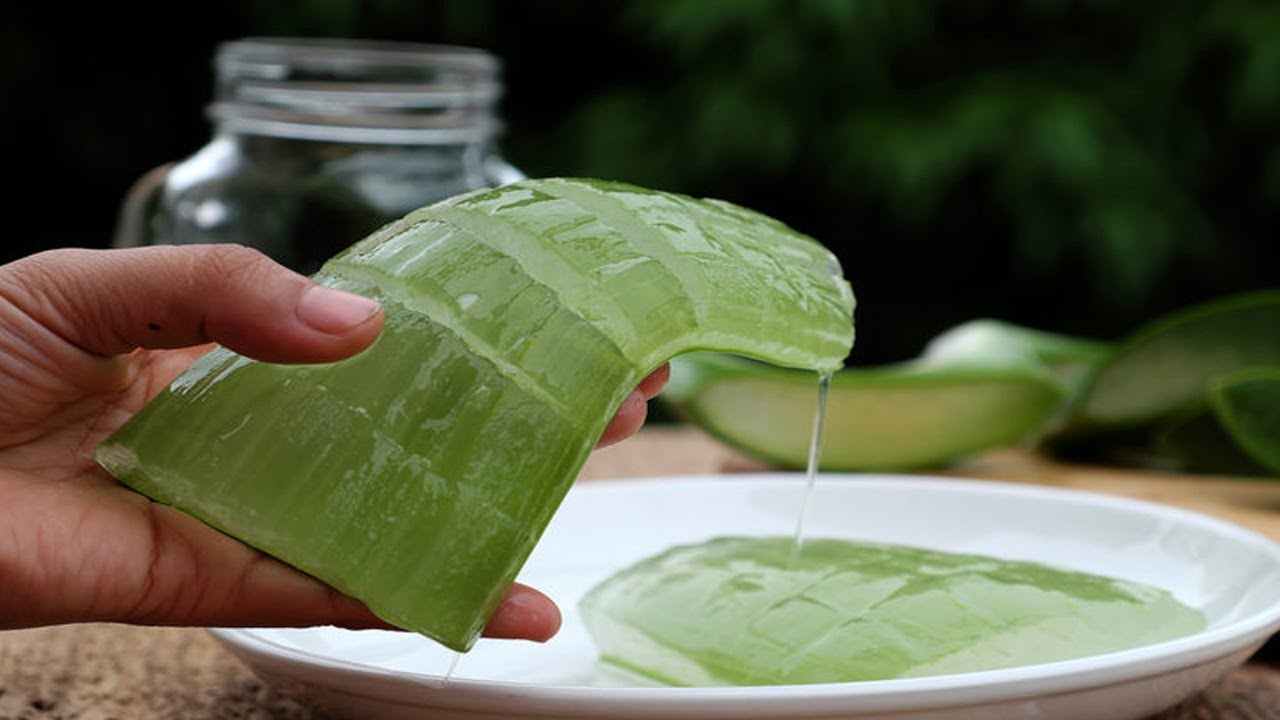 How To Use Aloe Vera To Treat Diabetes