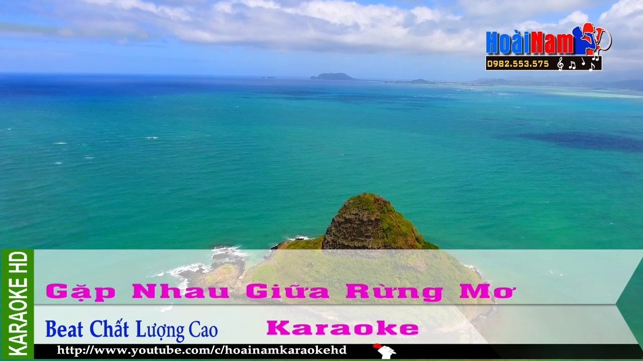 Karaoke Gặp Nhau Giữa Rừng Mơ