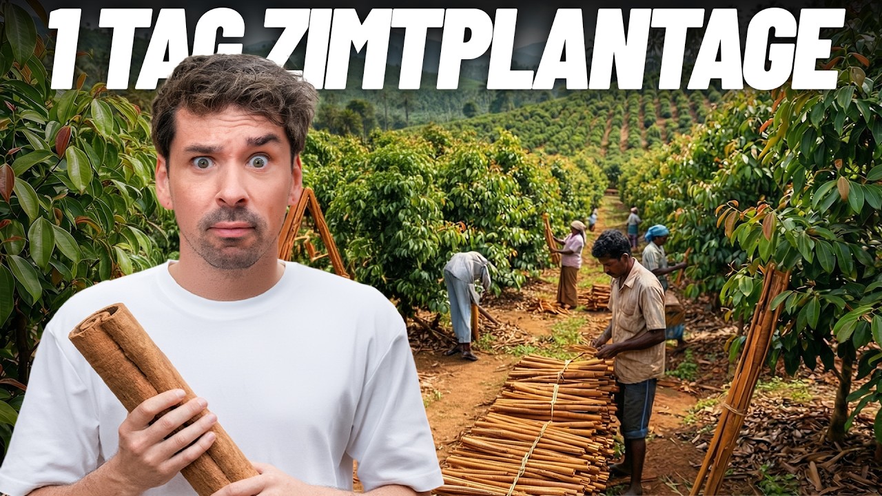 Vermutlich hast du noch NIE echten ZIMT gegessen