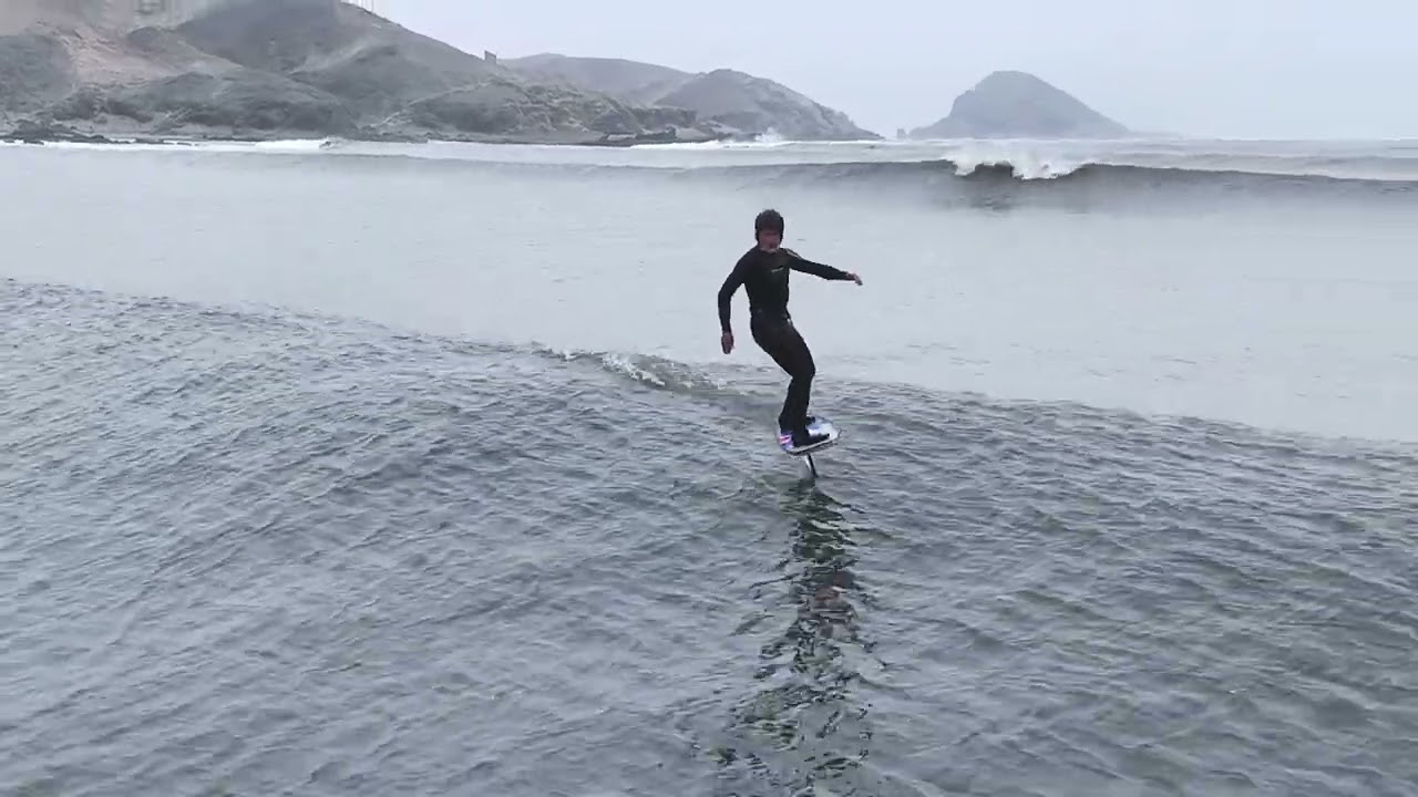 FOIL Chicama long 2024