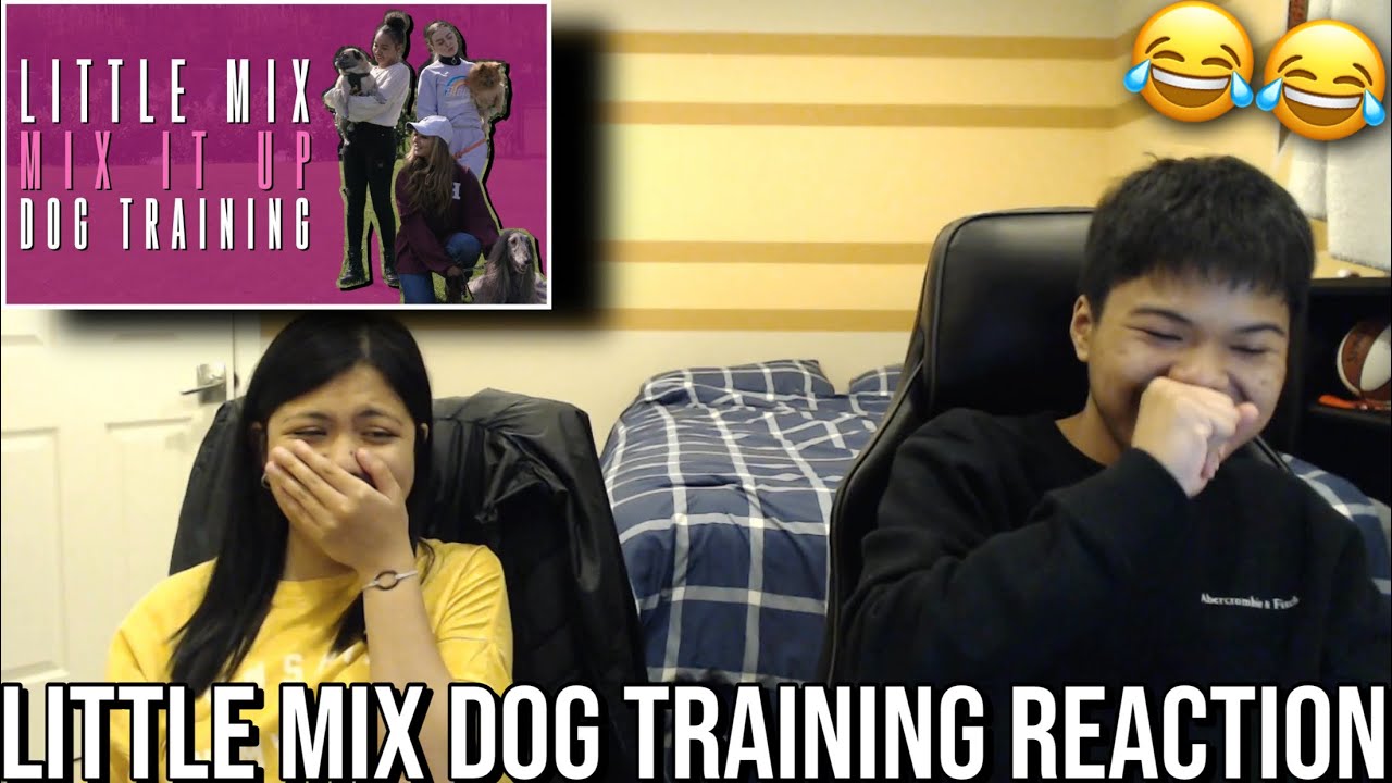 Sister Reacts To Little Mix - Mix It Up: Dog Training | HILARIOUS!