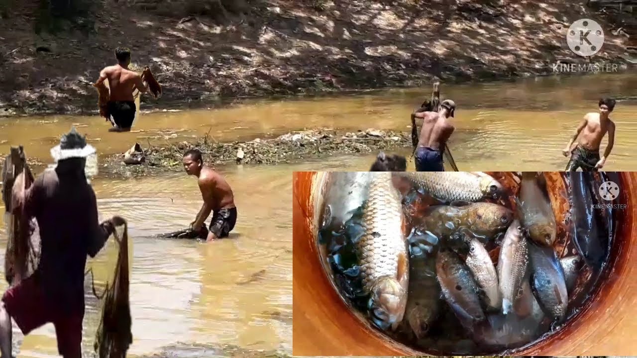 Best net fishing in the river # traditional of khmer net fishing in the river
