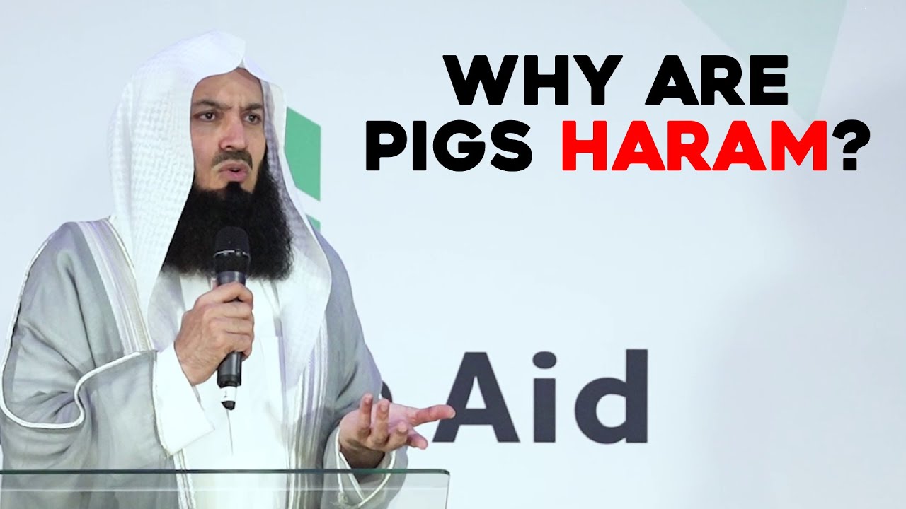 Why are pigs haram? | Mufti Menk