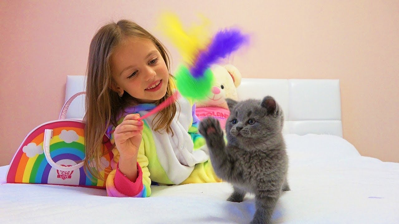 24 часа с моим ПИТОМЦЕМ котёнок ТИМ Настя кормит и ухаживает Ведём к ветеринару ПОКУПКИ для питомца