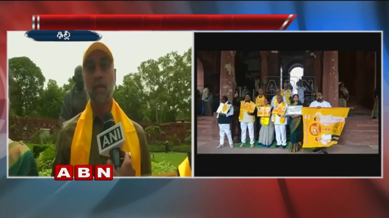 TDP MP's continue protest in Parliament over special status for Andhra Pradesh