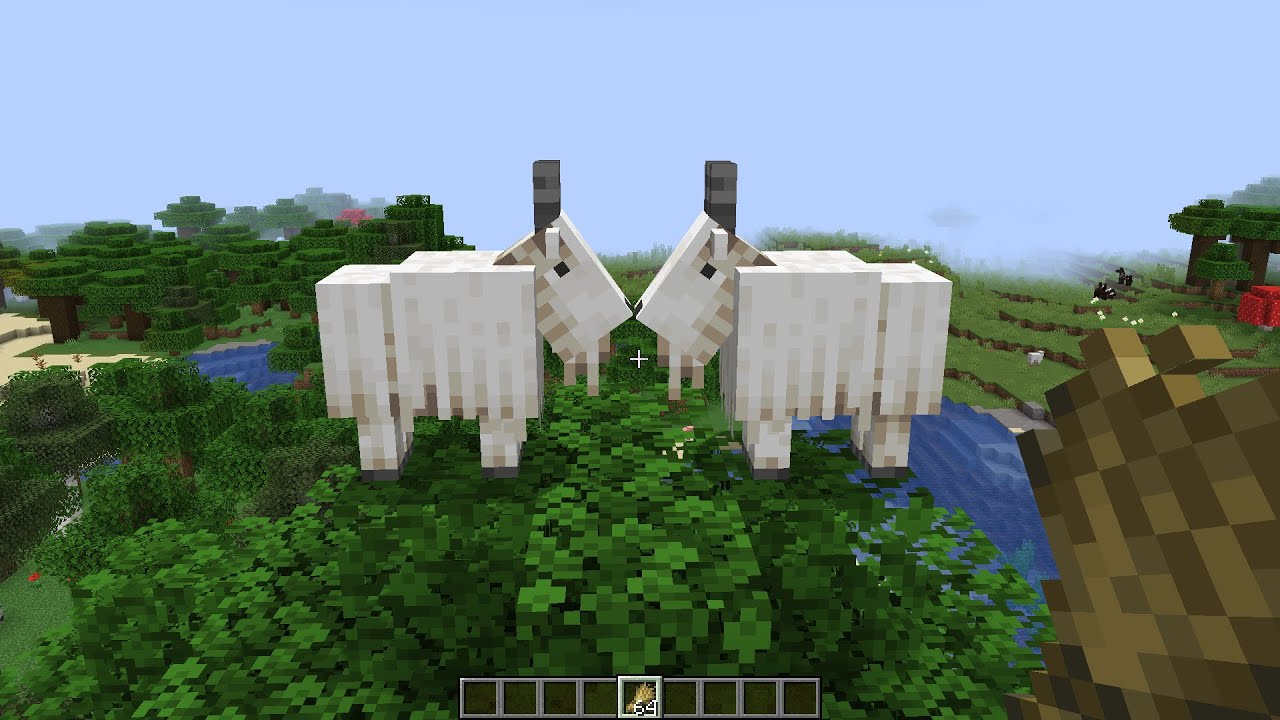gender doesn't exist in minecraft