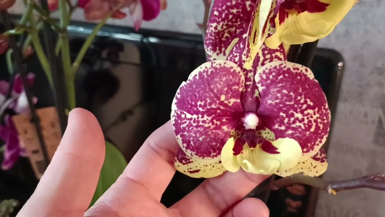 Березневі подарунки🤗☺️🔥♥️