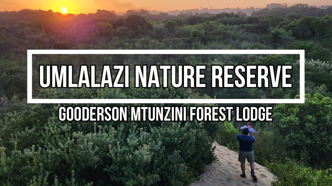 Umlalazi Nature Reserve | Mtunzini Forest Lodge