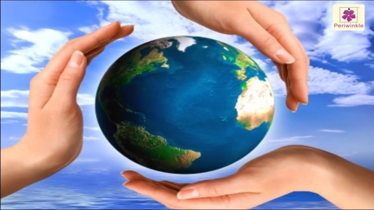 Impact of Disturbing The Balance In Nature | Environmental Studies For Kids | Grade 5 | Periwinkle