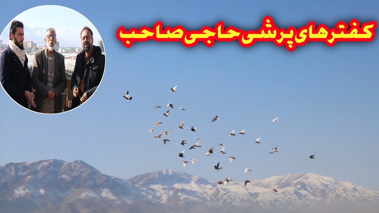 کفتر دوانی جالب و دیدنی  حاجی صاحب در گذرگاه High flying pigeons Kozarkah Kabul