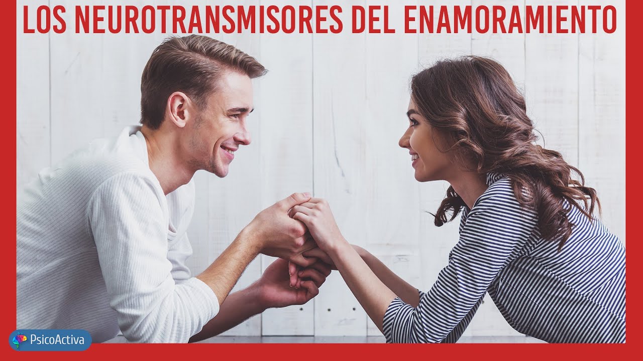 Los neurotransmisores que actúan en el enamoramiento