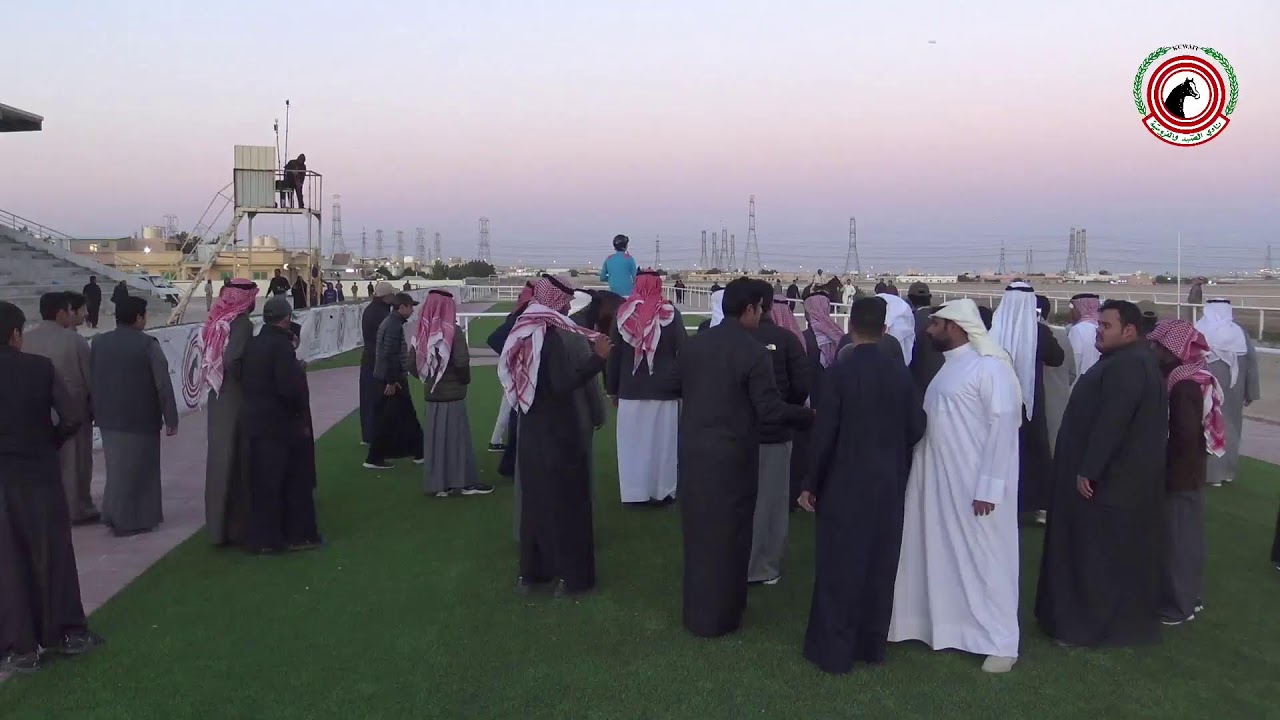 بث مباشر - مضمار الشيخ صباح الناصر الصباح - الأجتماع التاسع -  لموسم 2024-2025
