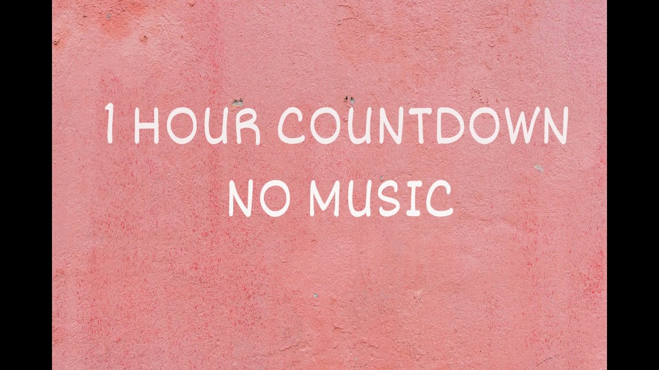 1 Hour Countdown Timer | No Music