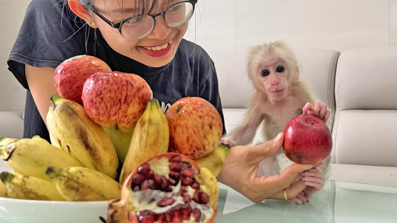 Lucky and his endless love for his favorite fruits