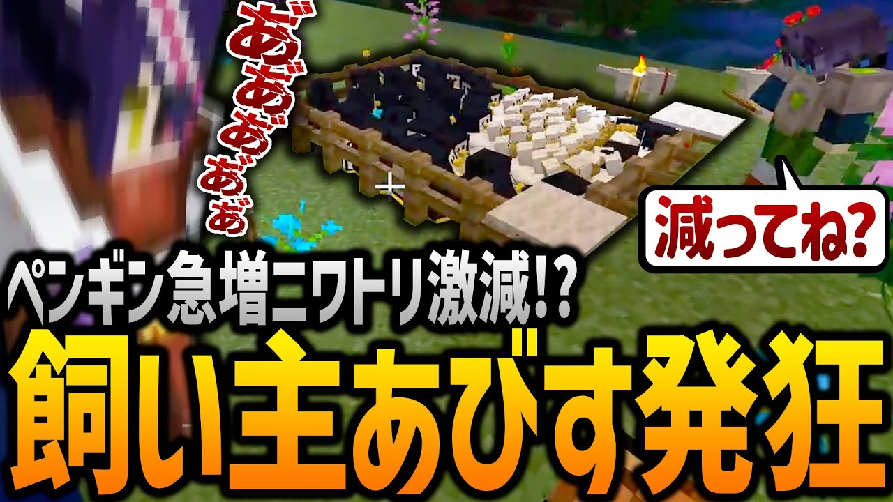 ペットの半分を勝手にペンギンに変えたらめちゃめちゃ発狂した件ｗｗｗｗ【minecraft】
