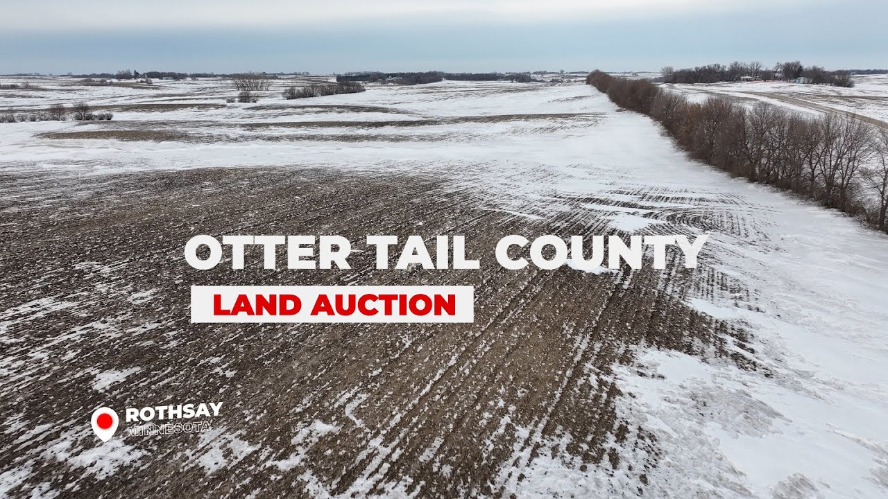 Otter Tail County, MN Land Auction - 105± Acres
