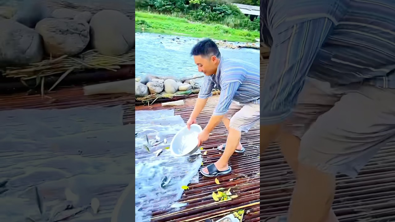 River Fishing Tip: Bamboo Fence Traps Make Fishing Simple and Efficient!