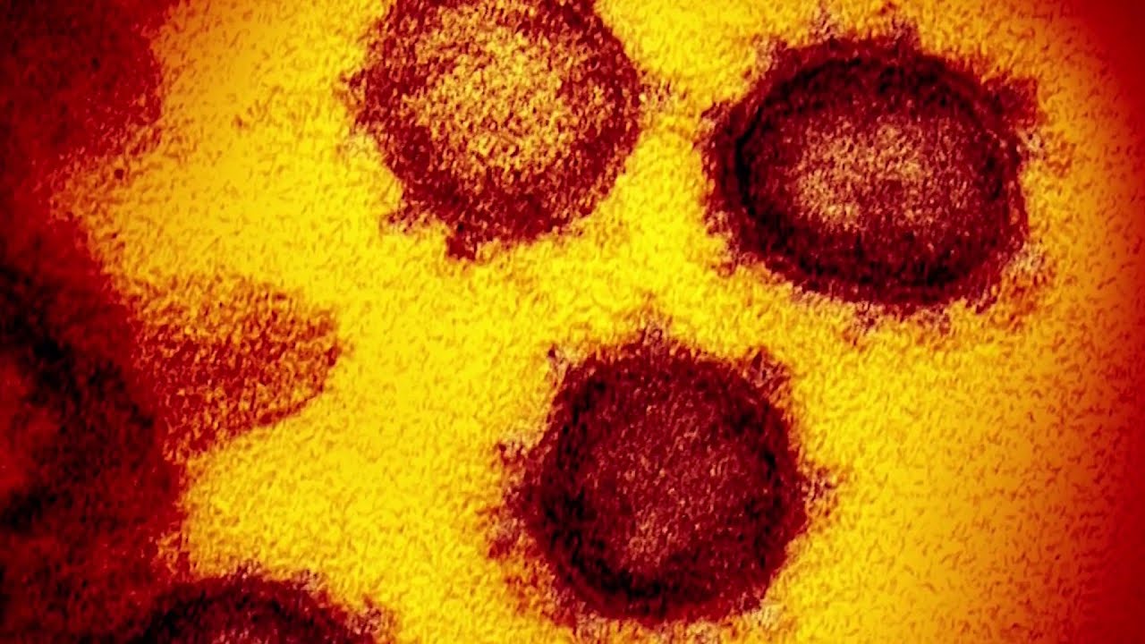 What to know about the new COVID variant