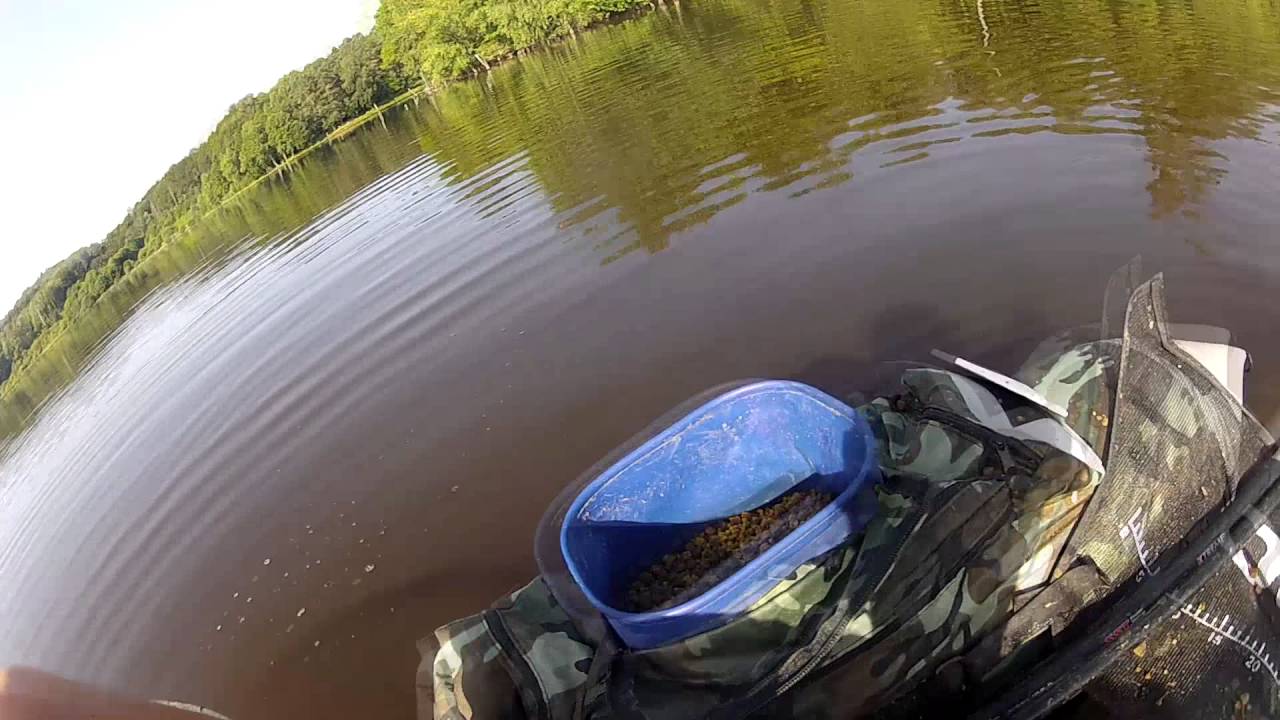 Carpe au coup Colmic / Float Tube / Aurélien's Fishing