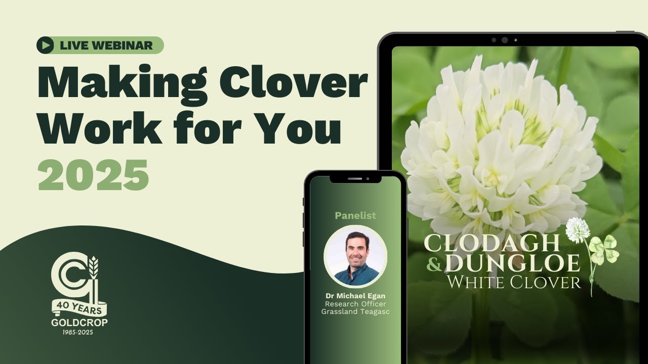 Making Clover Work For You 2025