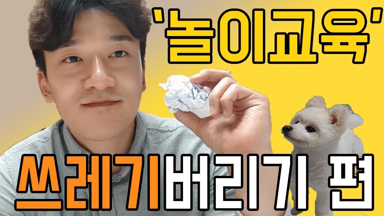강아지개인기훈련 - 쓰레기버리기 편 [손선생]