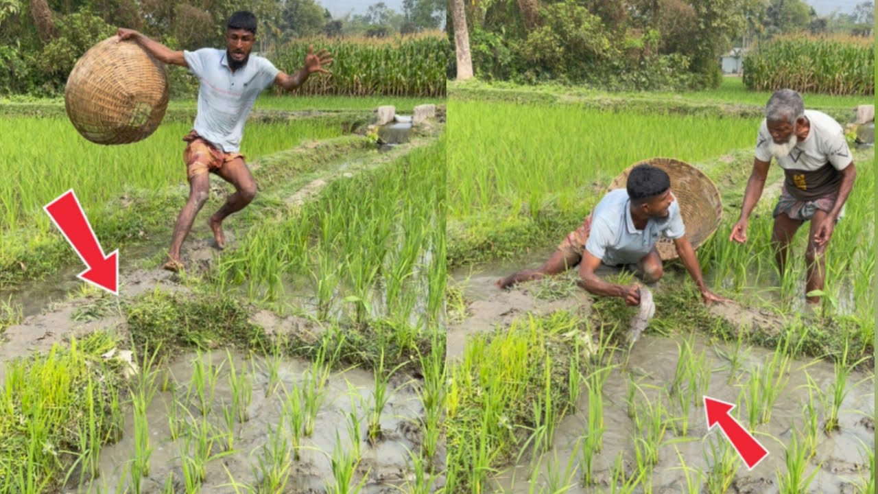 Catching big fish and eating rice#fishing #bigcatfeverrods #fish #comedyshorts #villagelife 