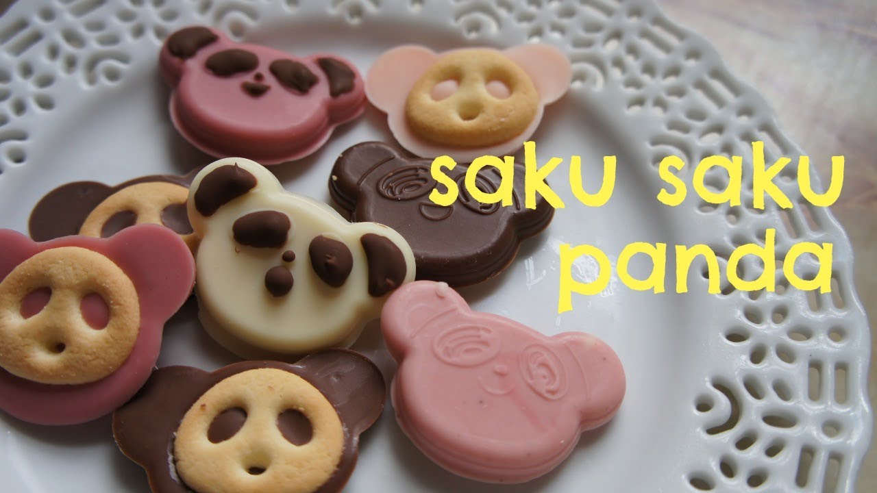 Saku Saku Panda Chocolate Biscuit Kit | Whatcha Eating? #137